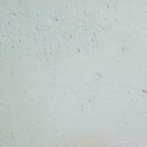 Meet your Posher, Arely